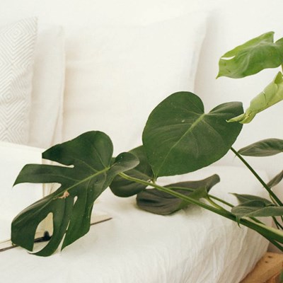 Slow work: menos celeridad, más felicidad