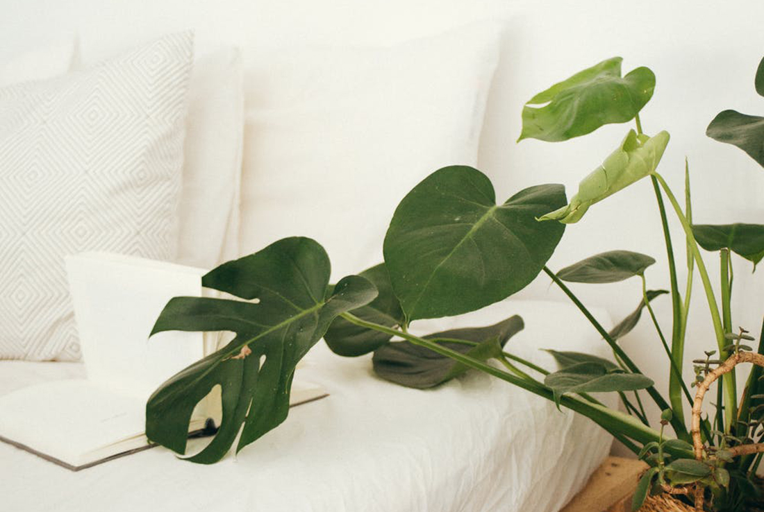 Slow work: menos celeridad, más felicidad